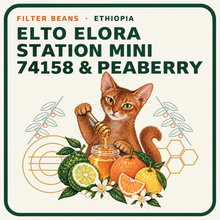Load image into Gallery viewer, ETHIOPIA — ELTO COFFEE MNPBH Lot