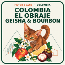 Load image into Gallery viewer, COLOMBIA — EL OBRAJE GEISHA &amp; BOURBON
