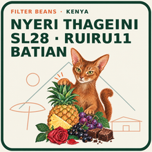 Load image into Gallery viewer, KENYA — NYERI THAGEINI SUPER NATURAL
