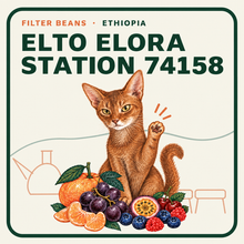 Load image into Gallery viewer, ETHIOPIA — ELTO COFFEE CEREMONY LOT

